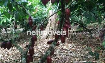 Imagem 4: Venda Fazenda Povoado de Barra Grande Maraú