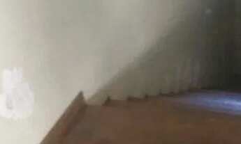 Imagem 4: São Paulo - Casa Padrão - Água Rasa