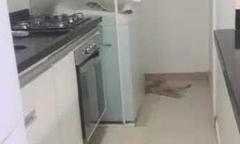 Imagem 2: Alugo Apartamento mobiliado na Varzea grande,avenida da feb