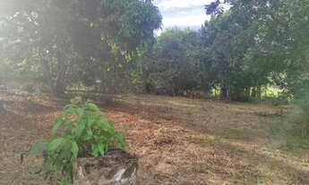 Imagem 3: Vendo chácara no Bujari