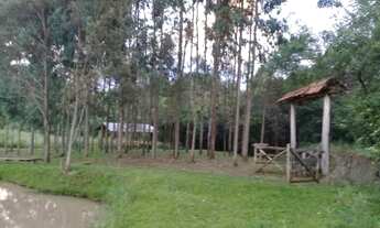 Imagem 3: Vendo chácara em Caçador