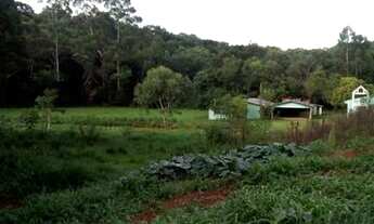 Imagem 2: 15 alqueires Fazenda / sítio com venda por R$350.000