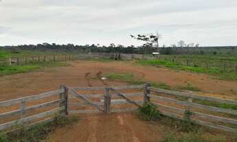 Imagem 4: Fazenda em Apuí Amazonas