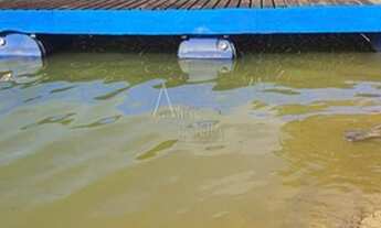 Imagem 4: Joanopolis - Chácara - Joanopolis