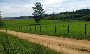 Imagem: FAZ.32 ALQUEIRES - PARA CAFÉ, GRÃOS OU