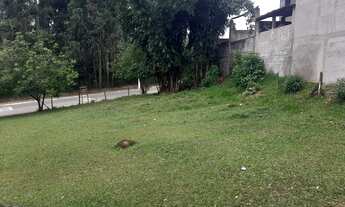 Imagem 7: Lote/Terreno para venda tem 290 metros quadrados em Cidade Ipava - São Paulo - SP