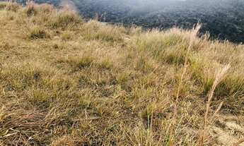 Imagem 5: U40- Terrenos plainos em Nazaré