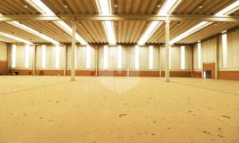 Imagem 10: Galpão - Betel - Paulínia