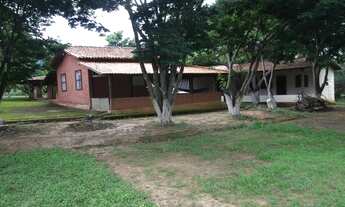 Imagem 5: Fazenda de 182 hectares na região de Curvelo