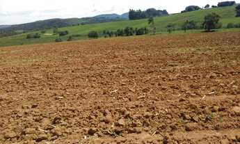 Imagem 6: FAZ.32 ALQUEIRES - PARA CAFÉ, GRÃOS OU PECUÁRIA