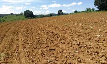 Imagem 4: FAZ.32 ALQUEIRES - PARA CAFÉ, GRÃOS OU PECUÁRIA