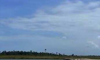 Imagem 4: Lote/Terreno para venda com 1000 metros quadrados em Barra Grande - Maraú - BA