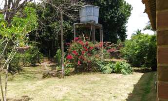 Imagem 7: Fazenda/Sítio/Chácara para venda com 3000 metros quadrados com 3 quartos em Zona Rural - S