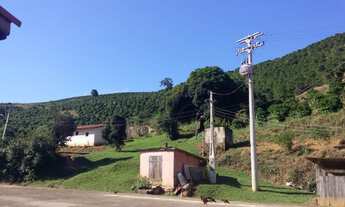 Imagem 6: Sítio de 9 alqueires - produzindo Café - Serra Negra/ Barrocão