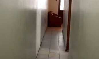 Imagem 7: URGENTE VENDO EXC CASA 2/4, EM PLENA MARQUÊS SÓ 280.000