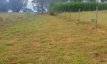 Imagem 2: Chácara em Itaberaí