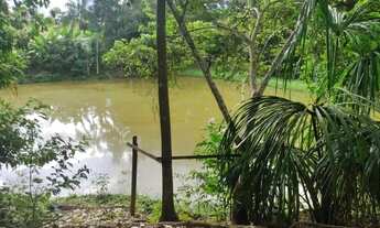 Imagem 6: Vendo chácara no Bujari