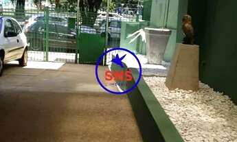 Imagem 6: APARTAMENTO RESIDENCIAL em CAMPINAS - SP, VILA ITAPURA