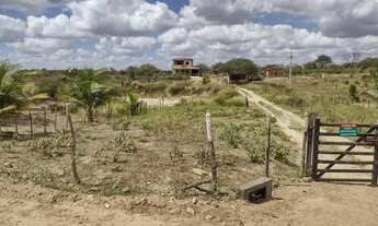 Imagem: Sítio- vende-se e analisamos troca