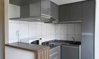 Imagem 6: LONDRINA - Padrão - Centro