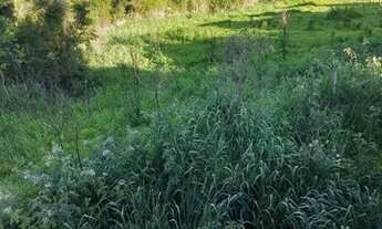 Imagem 3: Terreno para loteamento fechado