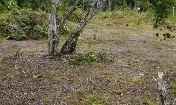 Imagem 3: Lote de 1000m2 em Arraial D?Ajuda