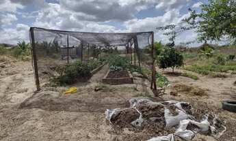 Imagem 3: Sítio- vende-se e analisamos troca