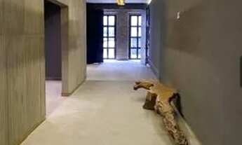 Imagem 2: Apartamento para locação, 110 m², 1 dormitório, 2 vagas