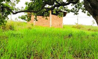 Imagem 3: Chácara de oportunidade 5 mil metros