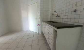 Imagem 7: Excelente Planta