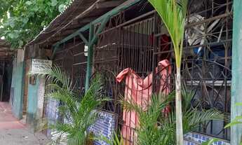 Imagem 2: Churrasqueira e expositor