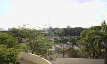 Imagem 4: VISTA PARA COPA DAS ÁRVORES