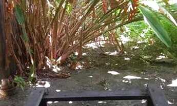 Imagem 4: VENDE-SE CASA NA ILHA DE COROA ? ?