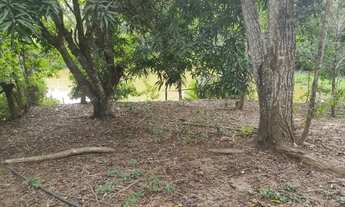 Imagem 5: Vendo chácara no Bujari