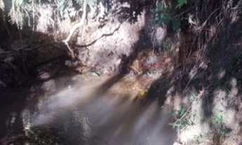 Imagem 6: Terra de 2 alqueire em professor Jamil