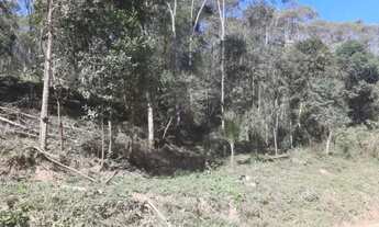 Imagem 7: Chácara em Bocaiúva do Sul - PR