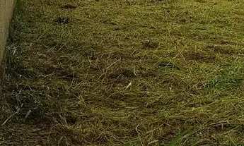 Imagem: Lote Águas lindas - GO