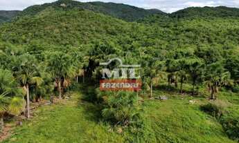 Imagem 6: Fazenda com 98 Alqueires (474,32 Há ) em Nova Iguaçu-GO