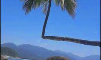 Imagem 6: Vendo 2 Terrenos