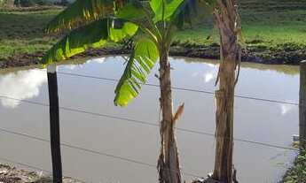 Imagem 3: Terra com Casa e Lavoura de Café