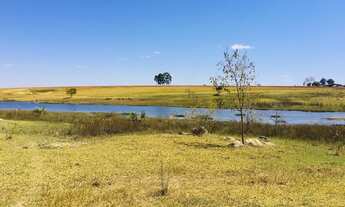 Imagem 4: Fazenda em caldas novas 63 Alqueires planta 45