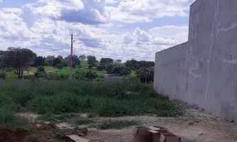 Imagem 3: Terreno Venda Potirendaba - Bairro Plameiras III