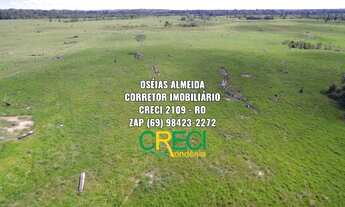 Imagem 7: 128 Alqueires Machadinho-RO