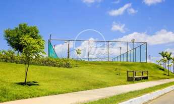 Imagem 7: Maceió - Loteamento/Condomínio - Guaxuma