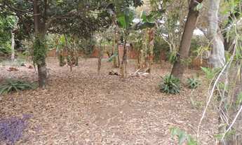 Imagem 5: Casa/ Barracão/ Terreno para venda com 1837 m² em Parque São Jorge - Piracicaba - SP