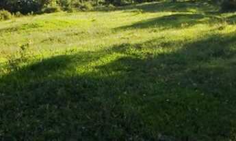 Imagem 4: Fazenda produtiva