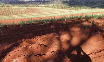 Imagem 4: FAZENDA ENTRE SÃO CARLOS E ARARAQUARA 74,23 ALQ