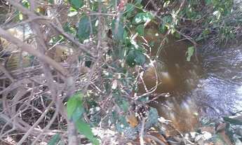 Imagem 2: 678 Alqs Dupla Aptidão Rio Barro Vermelho Região Santa Tereza do TO