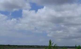 Imagem 4: Fazenda com 110 hectares nas Marias próximo a cajazeiras