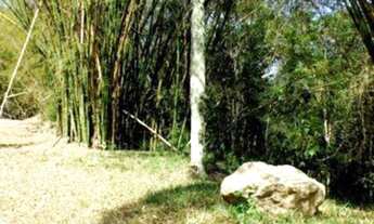 Imagem 4: Condomínio fechado área 1000m2 Aclive